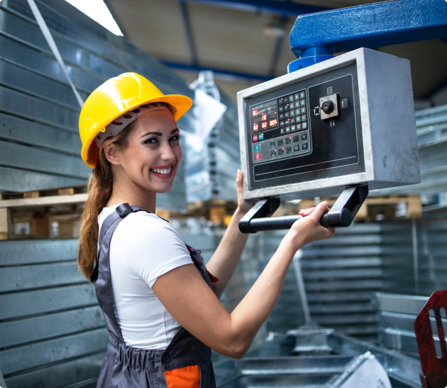 programacion experta westing